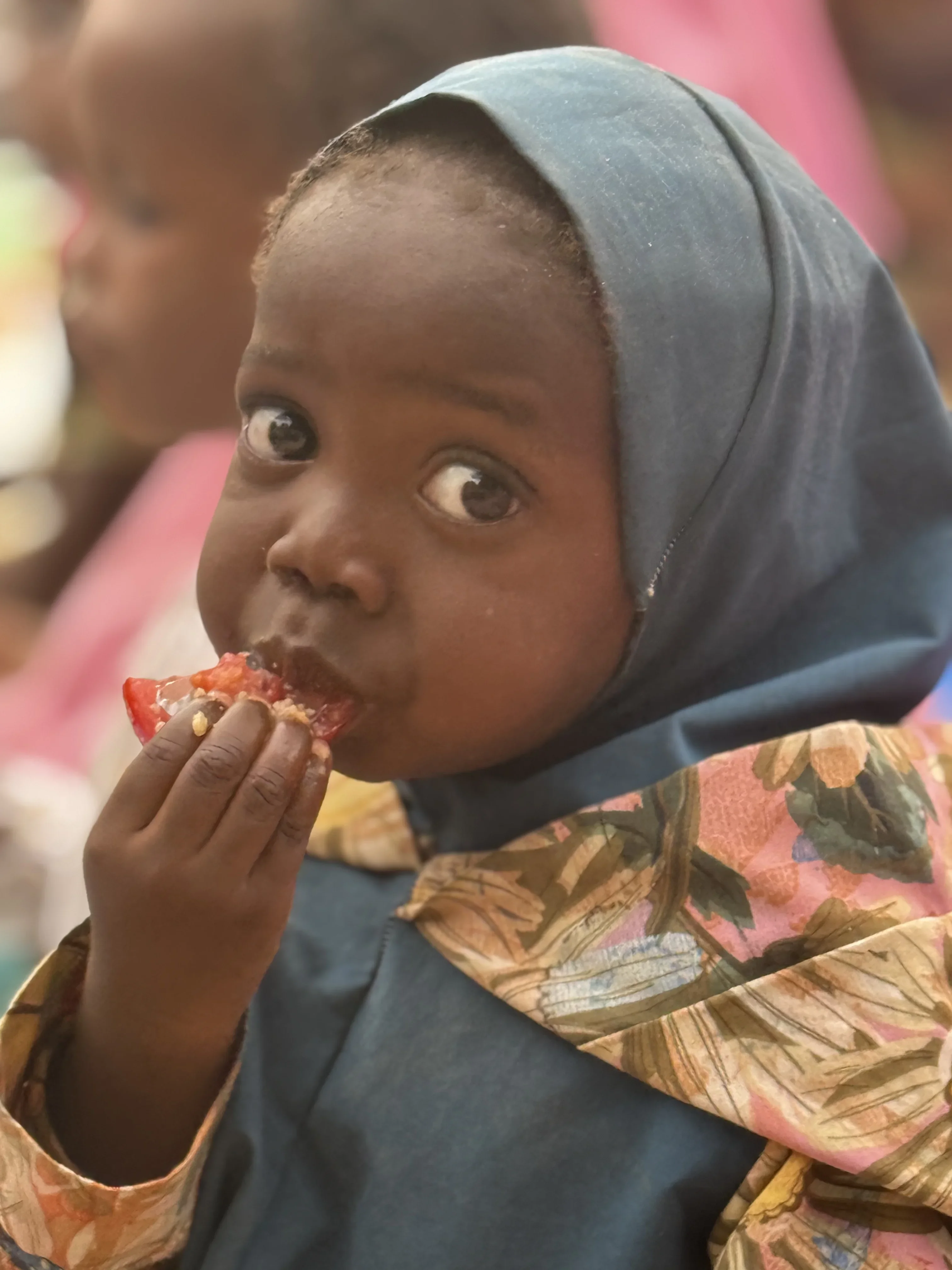 Afrika 10 Kişilik Yemek İkramı